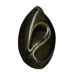 Olive noire – brillant