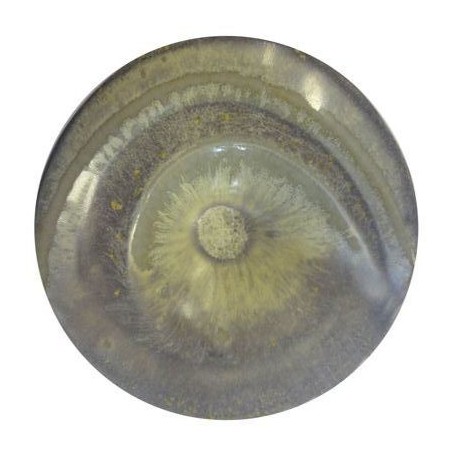 Ivoire vintage – brillant