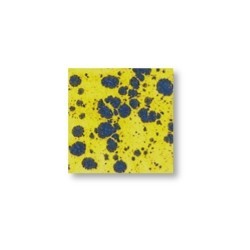 Stiefm?tterchen – brillant