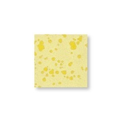 Ginster  – brillant soyeux