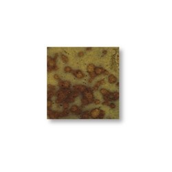 Glanzocker – brillant soyeux