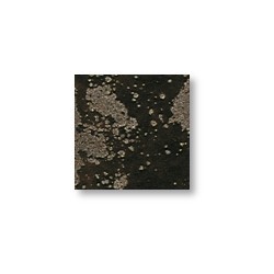 Kupfergold – brillant