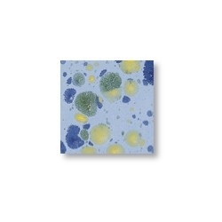 Winterzauber – brillant