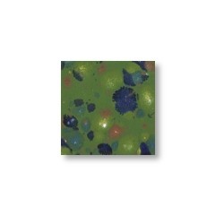 Waldwiese – brillant