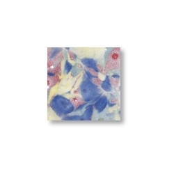 Harlekin – brillant